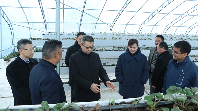 欧博abg - 官方网址登录入口